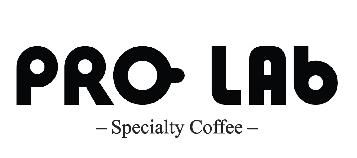 Pro Lab